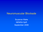 Neuromuscular Blockade - Health Education East Midlands VLE