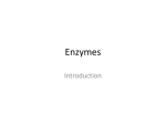 Enzymes lecture 2