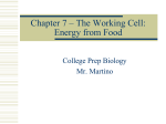 Chapter 7 – How Cells Release Stored Energy