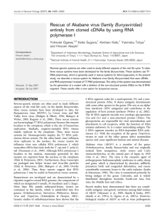 Rescue of Akabane virus (family Bunyaviridae) entirely from cloned