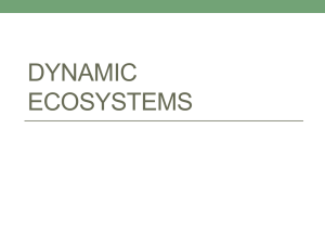 Dynamic ecosystems