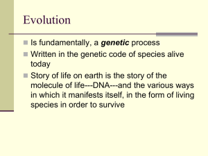 Important points of moth example