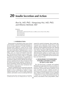 20 Insulin Secretion and Action
