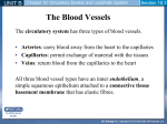 Vessels PPT - Wilson`s Web Page