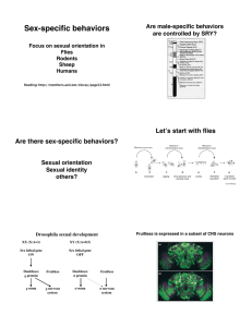 Are there sex-specific behaviors?