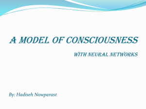 model of consciousne..