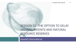Session 21- The option to delay