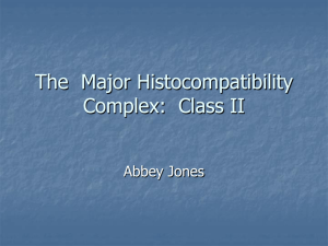 The Major Histocompatibility Complex: Class II