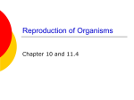 Reproduction of Organisms
