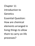 Chapter 11 introduction to Genetics