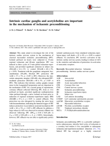 Intrinsic cardiac ganglia and acetylcholine are important in the