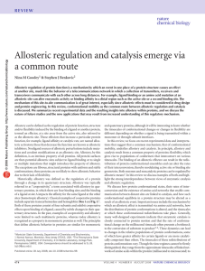 Allosteric regulation and catalysis emerge via a common