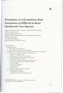 Promotion of adventitious root formation of difficult-to
