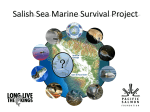 Salish Sea Marine Survival Project