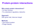 Detection of protein-protein interactions