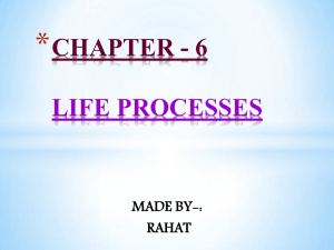 CHAPTER - 6 LIFE PROCESSES