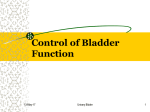 Control of Bladder Function