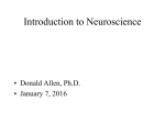 Introduction_to_Neuroscience_2016
