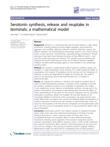 Serotonin synthesis, release and reuptake in terminals: a