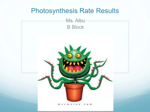 Photosynthesis Rate - Westford Academy Ap Bio