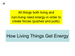 How Living Things Get Energy