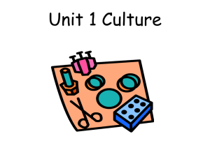 Unit 1 Culture