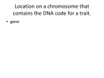 Location on a chromosome that contains the DNA code for a trait.