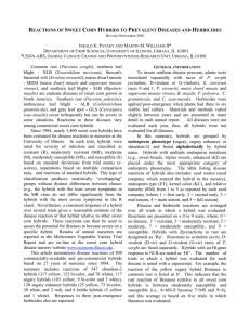 text only - Sweet Corn Disease Nursery