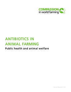 antibiotics in animal farming