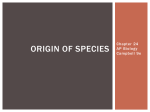 Origin of species