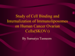 Study of Cell Binding and Internalization