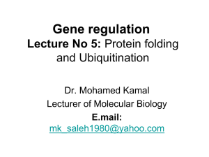 Protein Ubiquitination