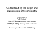 Understanding the origin and organization of