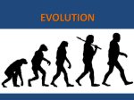 evolution - snavelybio