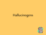Hallucinogen Notes