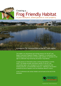 Frog Friendly Habitat - Ginninderra Catchment Group