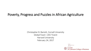 Poverty, Progress and Puzzles in African