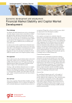 Financial Market Stability and Capital Market Development