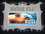 Swine flu - Mrs. Alfred