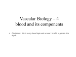 vasculature-lecture