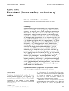 Paracetamol (Acetaminophen): mechanisms of action