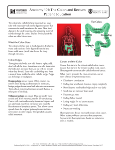 Anatomy 101: The Colon and Rectum