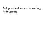 3rd. practical lesson in zoology Arthropoda