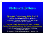 Cholesterol Synthesis - The Center for Cholesterol Management