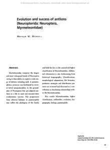 Evolution and success of antlions (Neuropterida: Neuroptera