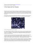 A New Source for New Neurons : TheologyPlus : http://www