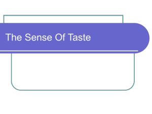 The Sense Of Taste
