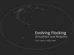 Evolved Flocking