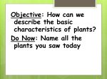 Objective: How can we describe the basic characteristics of plants