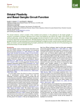 Striatal Plasticity and Basal Ganglia Circuit Function
